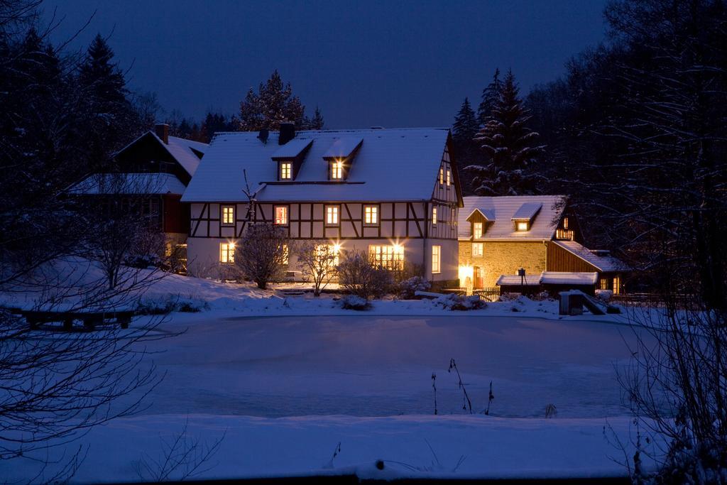 Romantik Hotel Landhaus Baerenmuehle Frankenau Extérieur photo