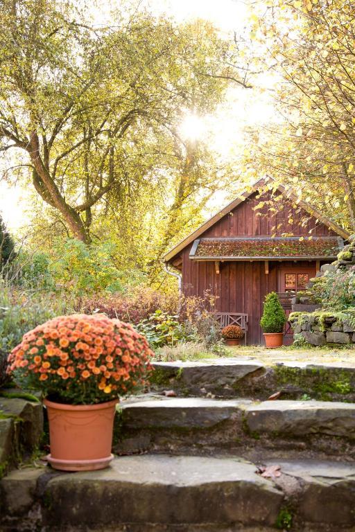 Romantik Hotel Landhaus Baerenmuehle Frankenau Extérieur photo