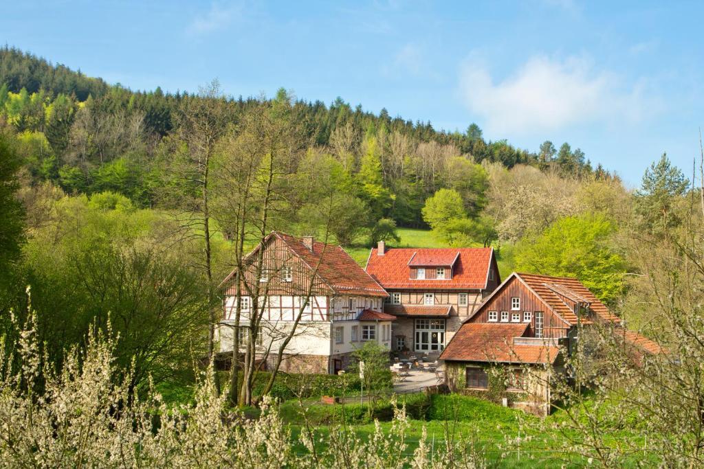Romantik Hotel Landhaus Baerenmuehle Frankenau Extérieur photo